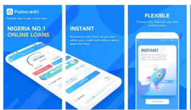 The 5 Best Apps and Banks for Student Loans in Nigeria